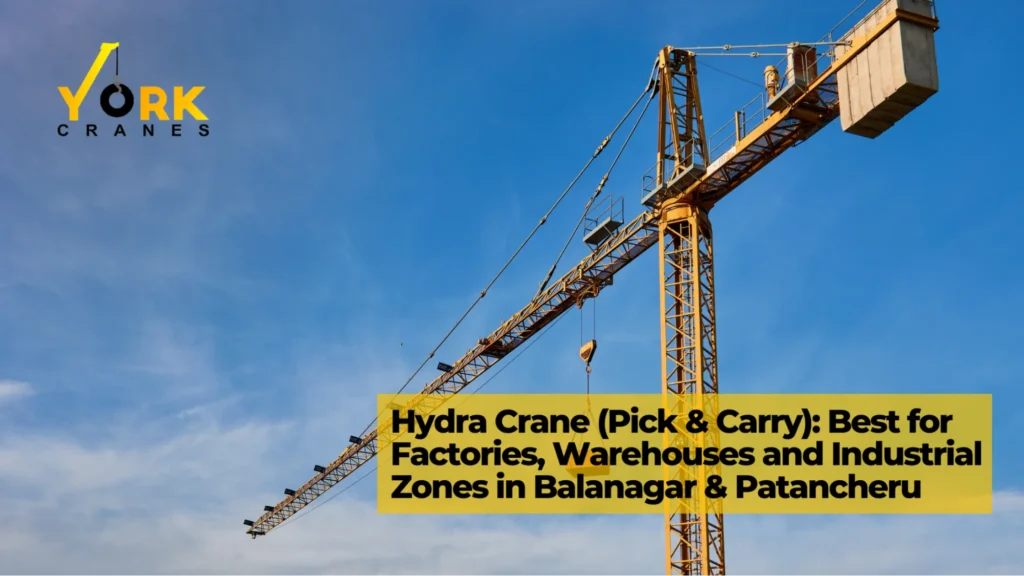 types of cranes