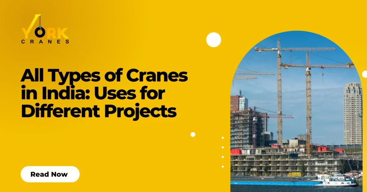 Types of Cranes in India