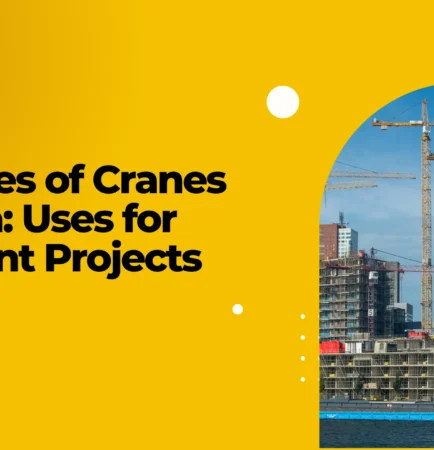 Types of Cranes in India